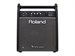 Roland PM-100