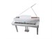 Medeli Grand 510 GW