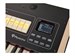 Viscount Cantorum Duo Plus