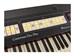 Viscount Cantorum Duo Plus