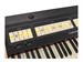 Viscount Cantorum Duo Plus