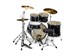 Pearl RS525SBC/ C31