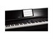Roland DP603-CB