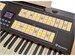 Viscount Cantorum Trio Plus