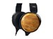 Fostex TH810