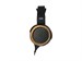 Fostex TH818