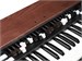 Crumar Mojo Suitcase limited edition