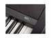 Korg B2