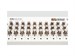Wolff Audio MeMore