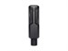 Lewitt LCT240PRO Black