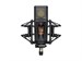 Lewitt Pure Tube