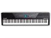 Alesis Recital Pro - фото 4817