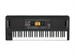 Korg EK-50 - фото 5468