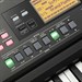 Korg EK-50 1806432017 - фото 5473