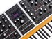 Moog One Polyphonic Synthesizer 16-Voice - фото 5630