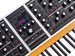Moog One Polyphonic Synthesizer 8-Voice - фото 5636