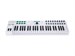 Arturia KeyLab Essential 49 white 6017 - фото 5874