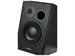 Dynaudio BM15A Left - фото 7882