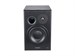 Dynaudio BM15A Right - фото 7895