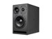 Dynaudio Core 47 Left - фото 7908