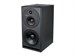 Dynaudio Core 59 - фото 7923