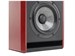 Focal Solo 6 New 2022 - фото 8059