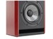 Focal Solo 6 New 2022 6597 - фото 8059