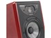 Focal Solo 6 New 2022 - фото 8060