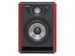Focal Solo 6 New 2022 - фото 8063