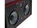 Focal Twin 6 2022 5996 - фото 8085